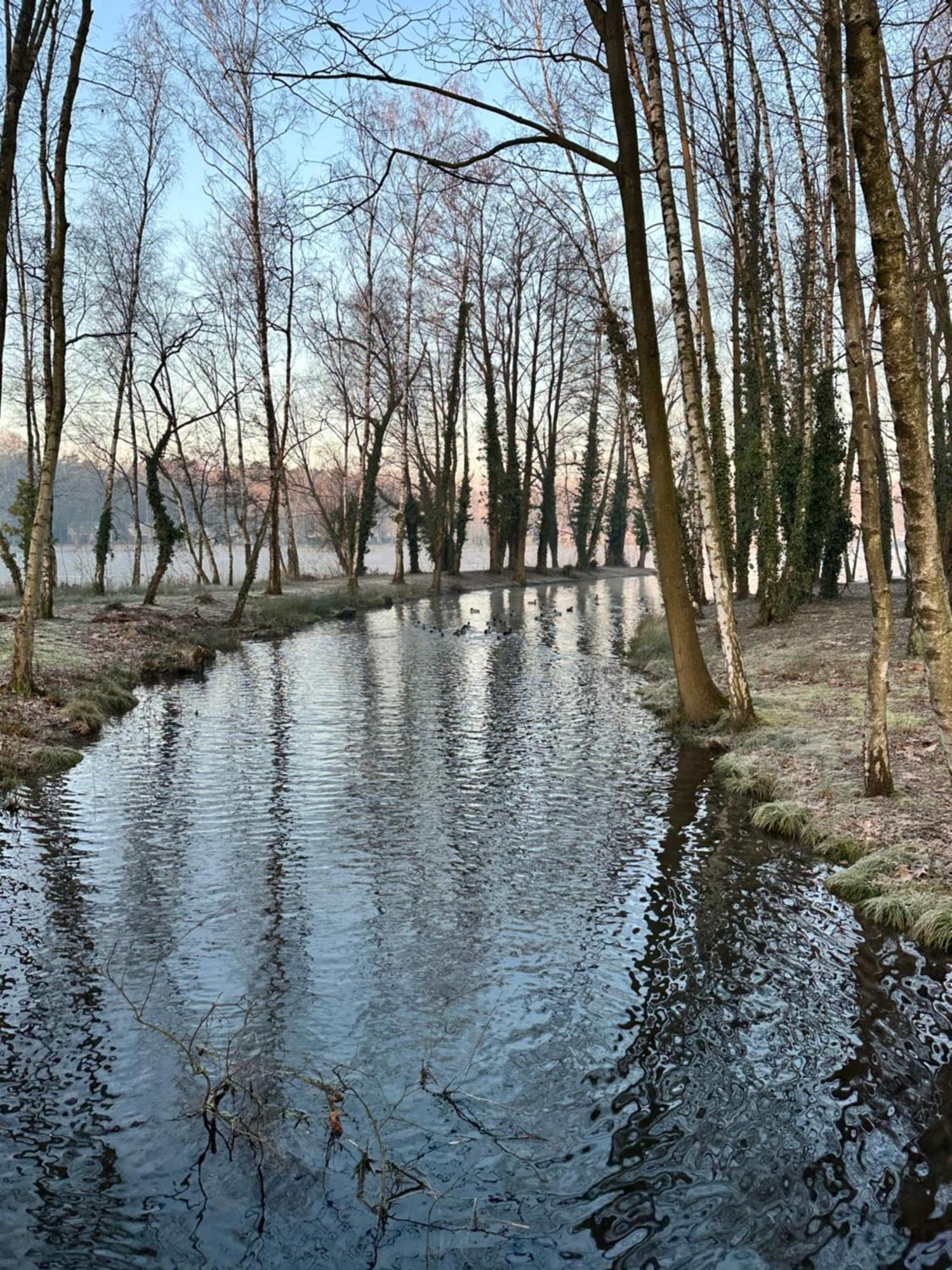 Vakantiewoning Waag Rekem Buitenkant foto