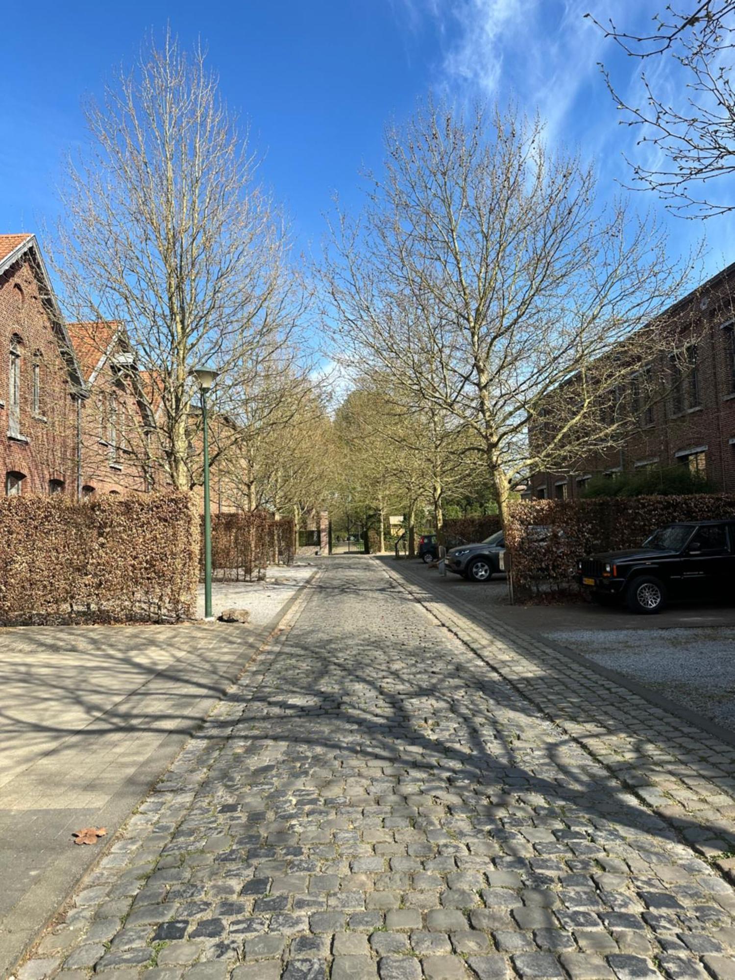 Vakantiewoning Waag Rekem Buitenkant foto